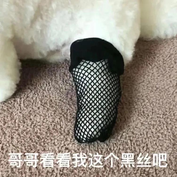 华耀学姐07