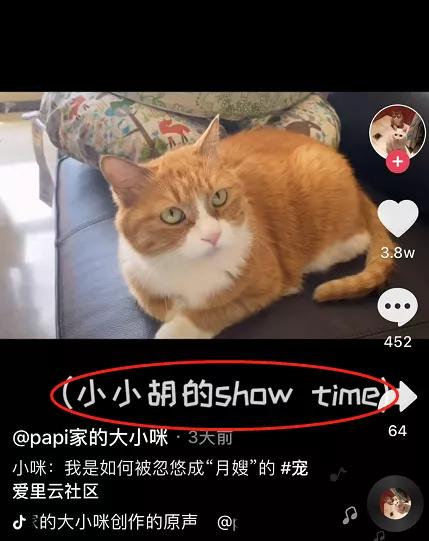 让孩子随父姓算不算独立女性 papi酱被骂背后思考