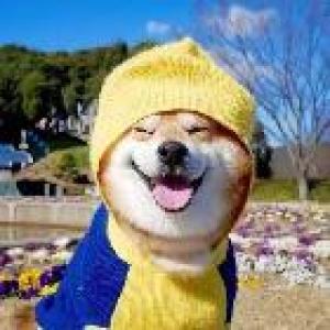 祁韩