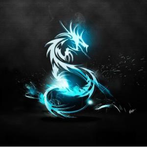 LS.少龙