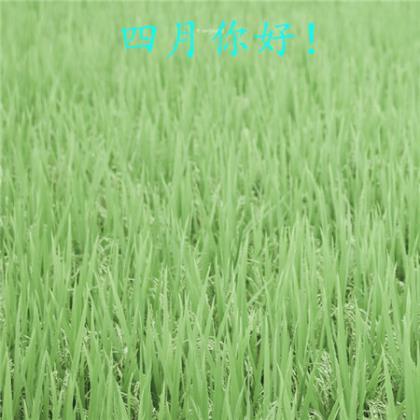荐 春运回家养生防病5“药方”